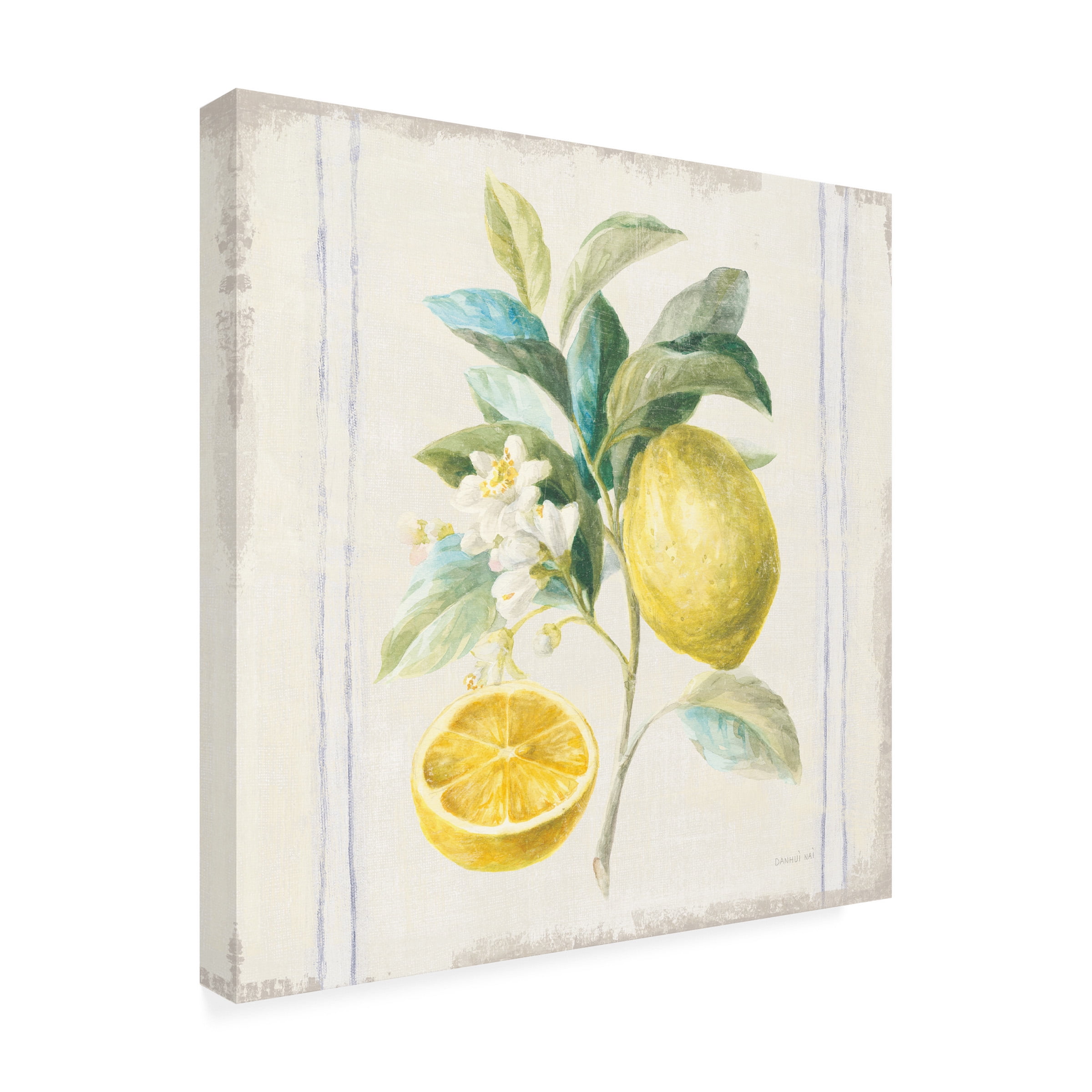 Trademark Fine Art 'Flour sack Lemons IV Sq Navy' Canvas Art by Danhui Nai