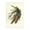 Vintage Spruce Fir Cones, variant on Stupell Industries Spruce & Fir Cones Plants & Flowers Painting Wrapped Canvas Art Print Wall Art, 16 x 24