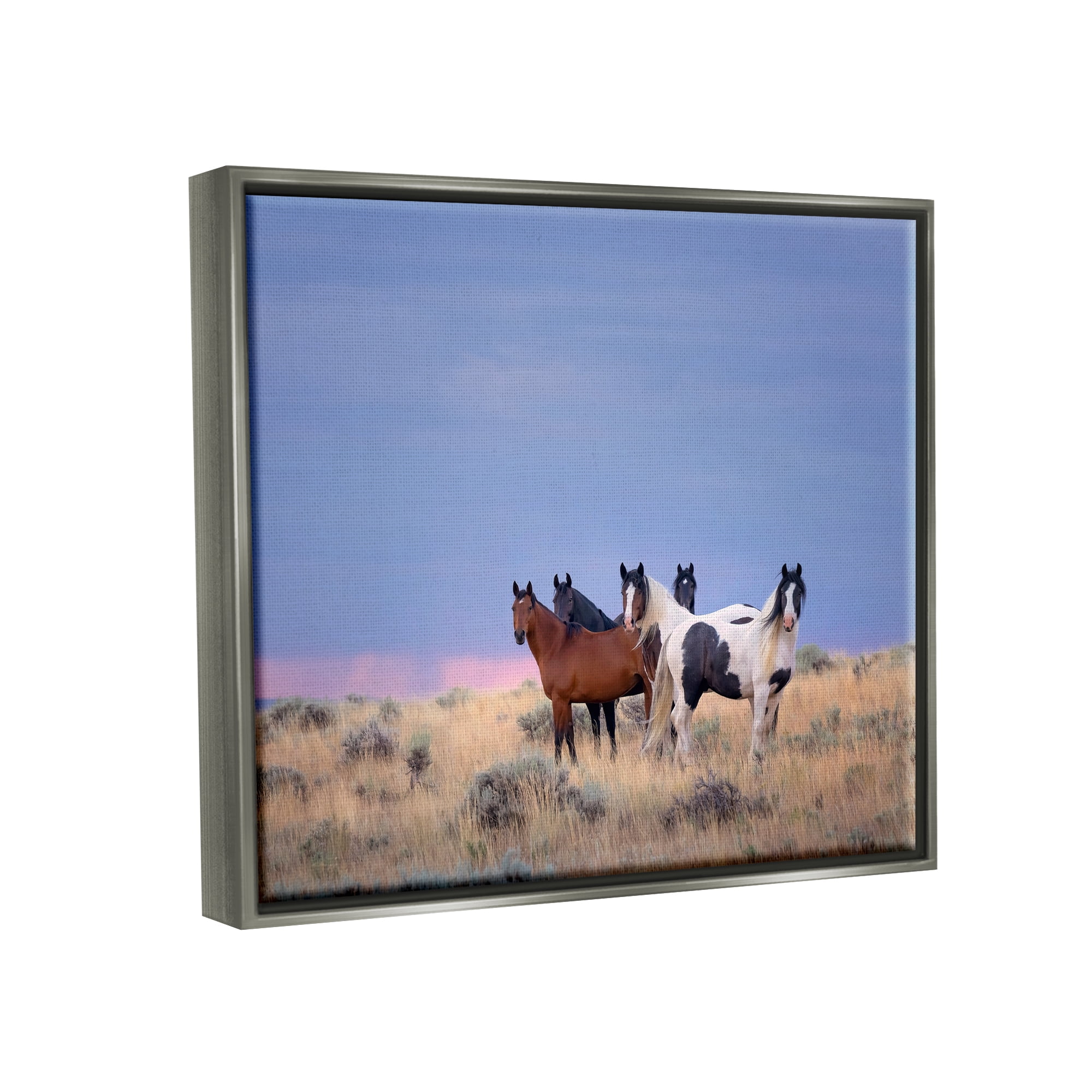 Stupell Industries Country Horses in Meadow Animals & Insects Photography Gray Floater Framed Canvas Art Print Wall Art, 21 x 17