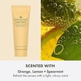 thumbnail image 6 of Hand Cream Essentials Four Hand Creams for Softer, Hydrated Skin, 6 of 6