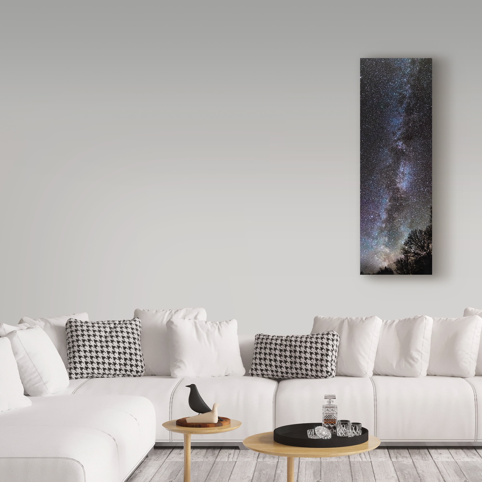 Trademark Fine Art 'Backyard Milky Way' Canvas Art by Brenda Petrella Photography Llc