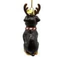 thumbnail image 3 of Noble Gems Rottweiler with Antlers Glass Ornament, 3 of 6