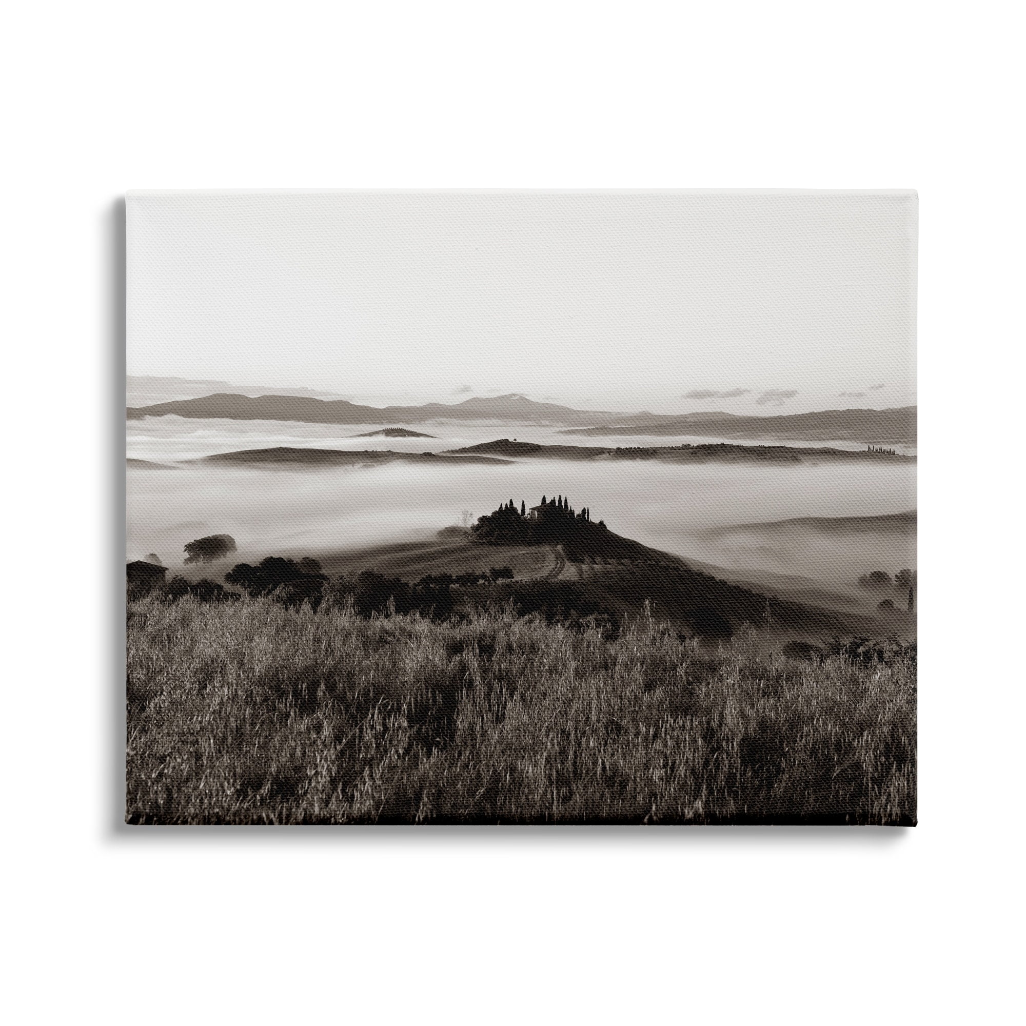 Misty Vineyard Mountain Landscape Countryside Field 20 in x 16 in Photography Canvas Art Print, Design by Nancy Crowell