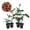 4 Plants, variant on Abracadabra Rose Bush - Live Starter Plant in a 2 Inch Pot - Beautifully Fragrant Heirloom Rose from Florida - A Versatile Beauty with a Rich Fragrance