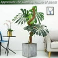 thumbnail image 6 of Moss Pole for Plants Monstera, 59 Inch Tall Bendable Moss Poles for Climbing Plants Indoor, Large Handmade Plant Pole Sticks, Coco Coir Plant Support Stakes for Potted Plants, Pothos, 6 of 6