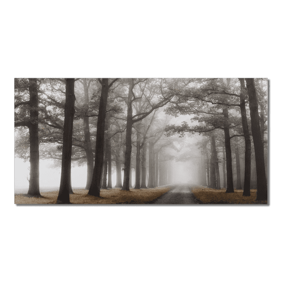 Bouclair Natural Mystical Pathway Printed Canvas 60 X 30 in (152.4 X 76.2 cm)