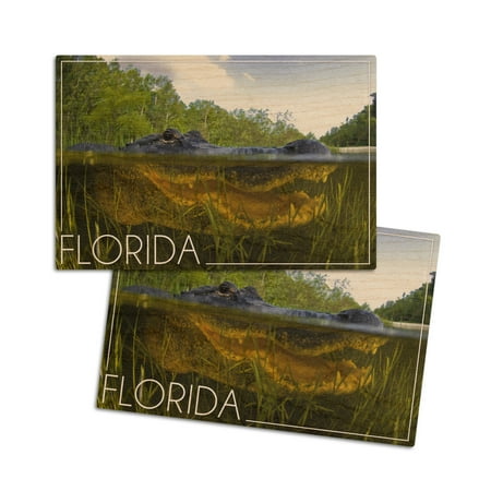 

Florida Alligator Underwater (4x6 Birch Wood Postcards 2-Pack Stationary Rustic Home Wall Decor)
