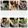thumbnail image 4 of Redempat 3pack/lot Durable And Non-deformable Planter For Indoor Plants Container Planter Plastic Flower Transparent Color 1Set, 4 of 6