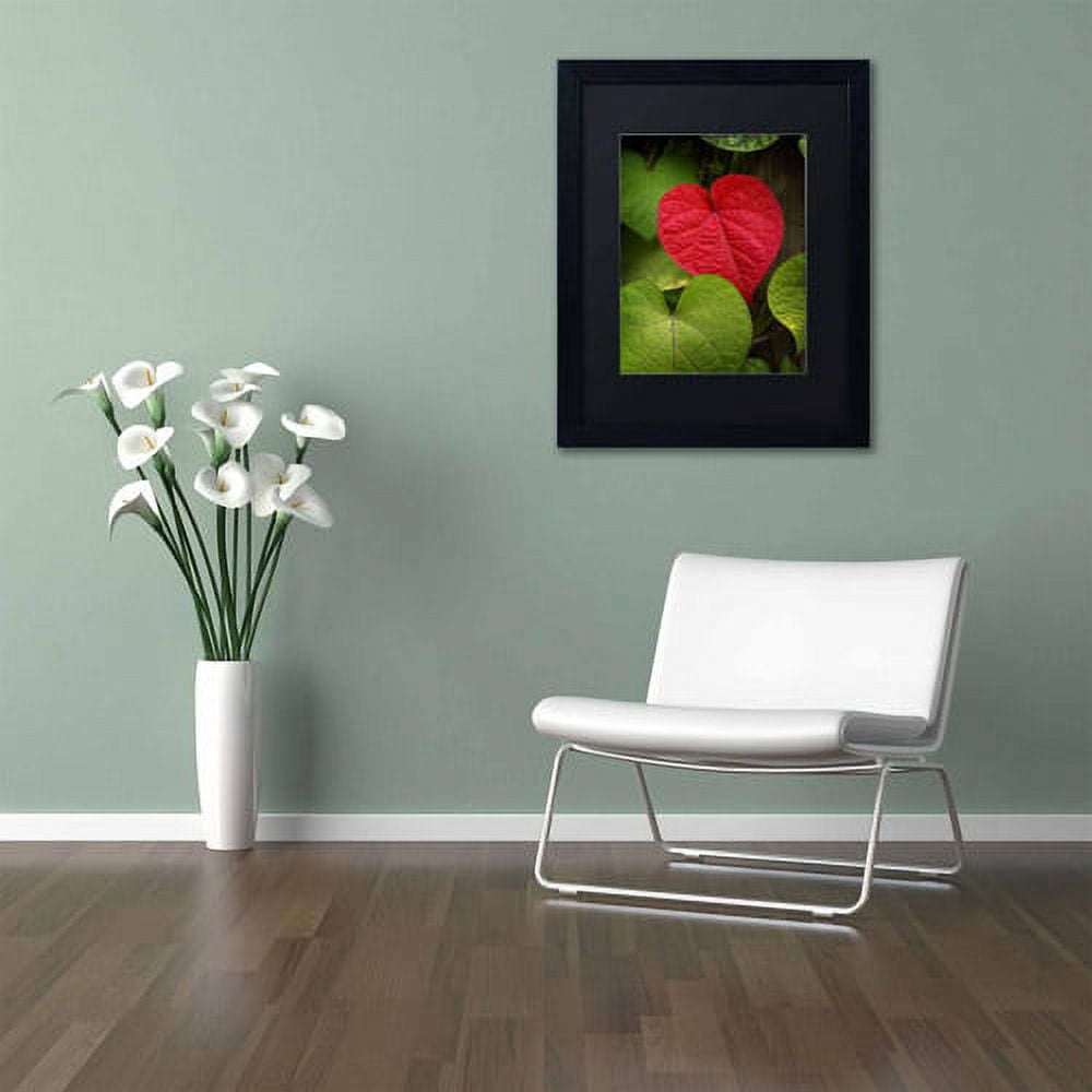 Trademark Fine Art "Heart to Take" Canvas Art by Philippe Sainte-Laudy, Black Matte, Black Frame