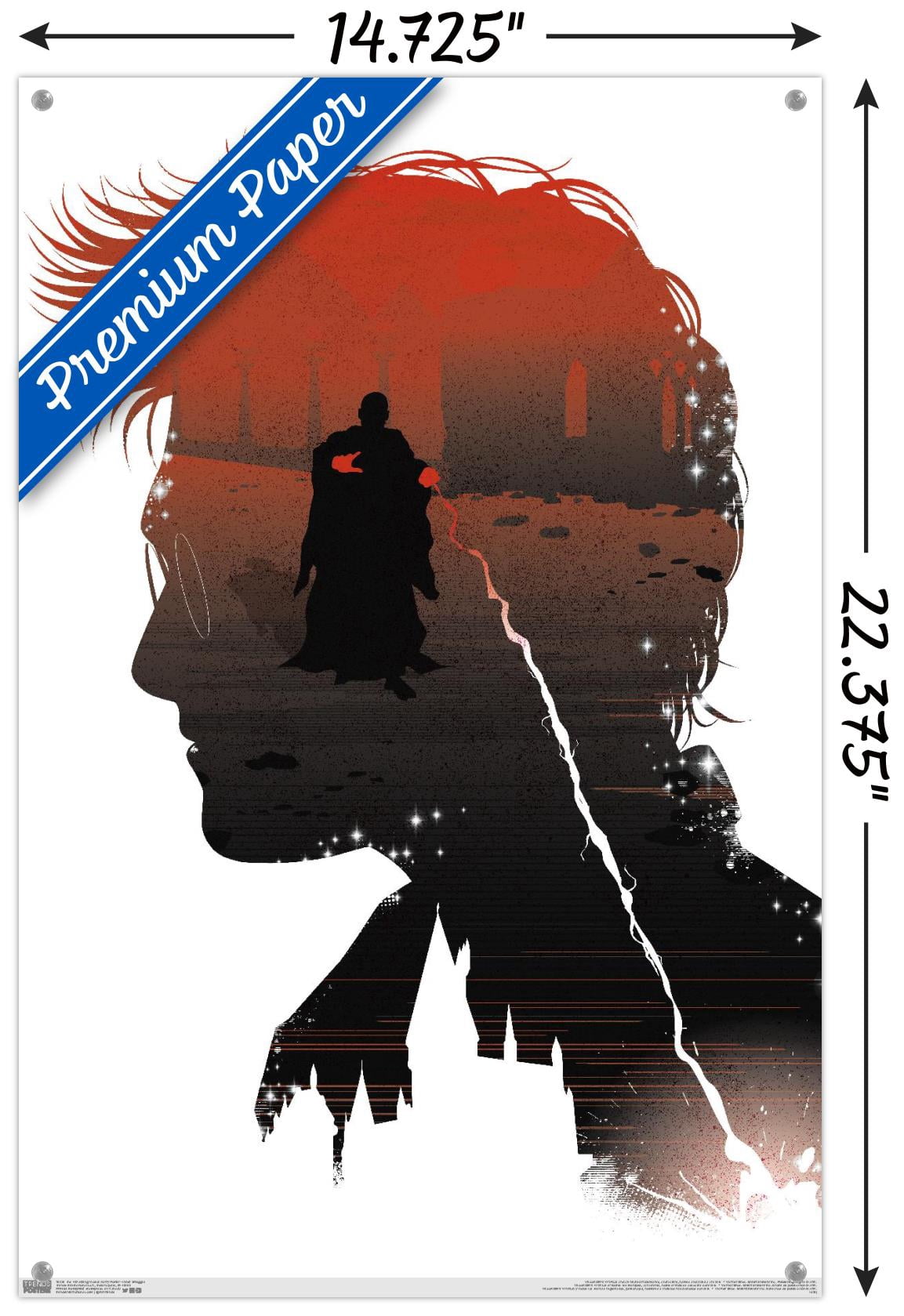 The Wizarding World: Harry Potter - Inner Struggle Wall Poster with Push Pins, 14.725" x 22.375"