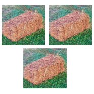 Premium Long Needle Pine Straw Mulch for Garden & Yard | 160 Sqft ...