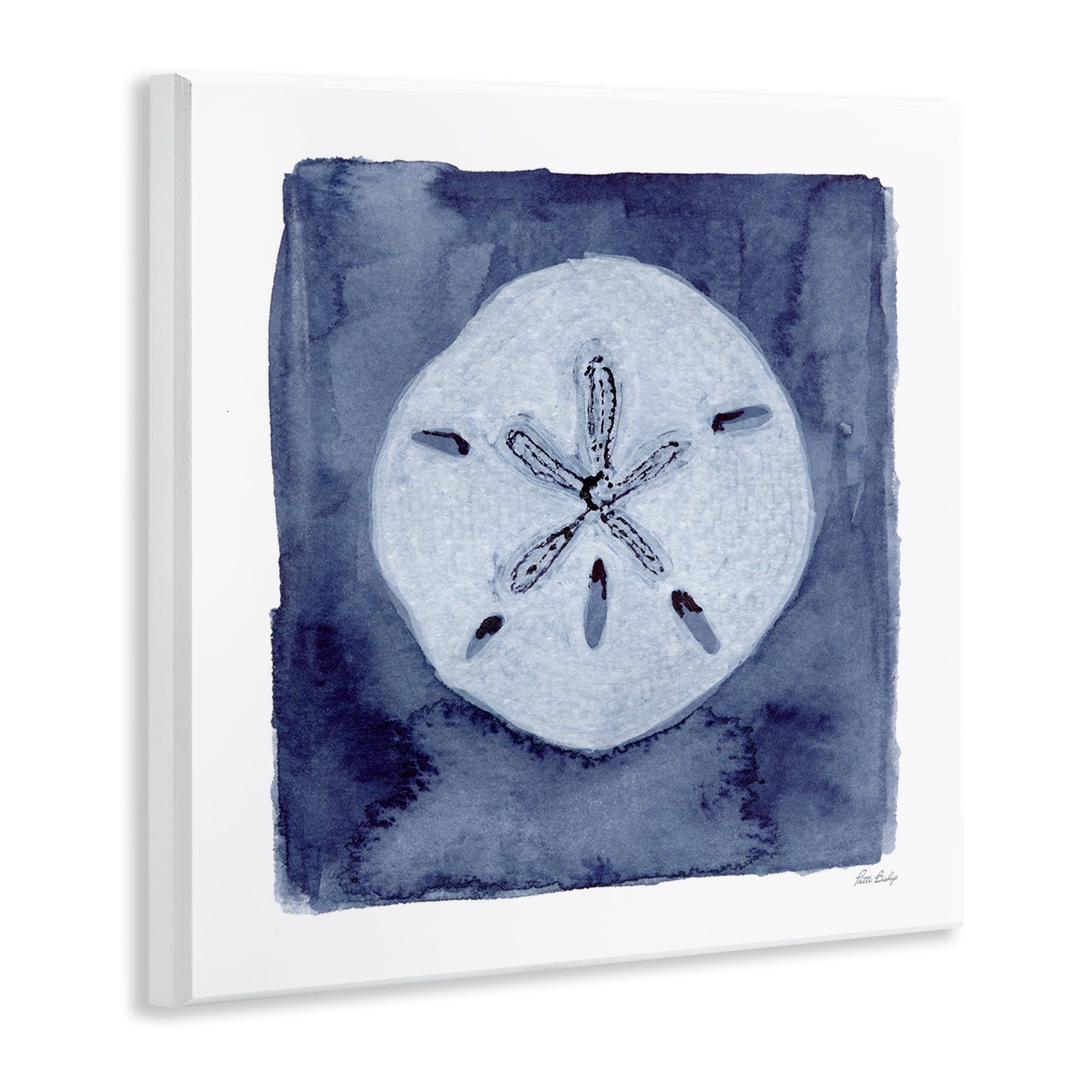 Stupell Industries White Sand Dollar on Indigo Wall Plaque Art, design by Patti Bishop