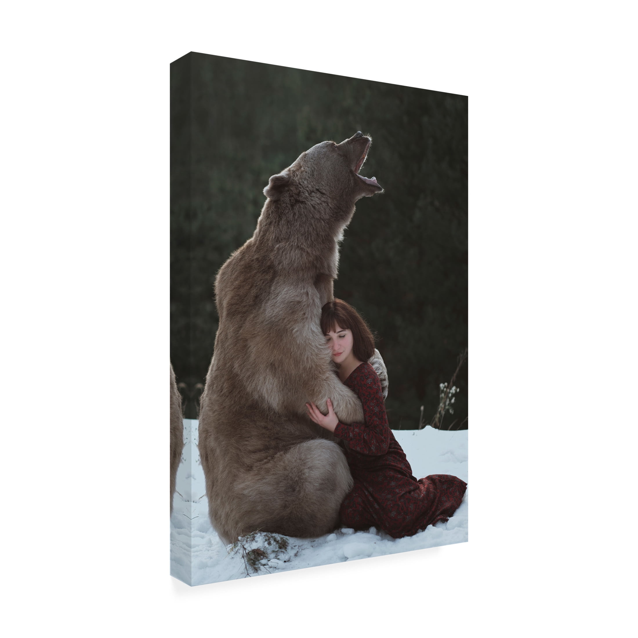 Canvas Wall Art - Olga Barantseva 'My Big Friend' Wall Art for Living Room, Bedroom, or Office D?cor by Trademark Fine Art - 12 x 19 Inches
