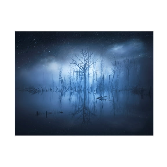 Christian Lindsten 'Stranger Things' Canvas Art
