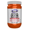 thumbnail image 1 of Polvo de creatina micronizada Supplement NOW 500 g, 1 of 4