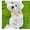 White, variant on Dog Dresses for Small Dogs Girl Female Dog Clothes Cat Clothes Cat Dress Cute Small Summer Clothes Sunflower Decor Printed Mushroom Dog Birthday Outfit Small Puppy Clothes,XS
