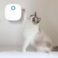 thumbnail image 4 of Cat Litter Deodorizer Smart Pet Odor Eliminator Sensor Switch for Bathroom Wardrobe Kitchen, 4 of 4