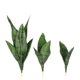 thumbnail image 1 of Simulación de orquídea de piel de tigre, simulación de hojas, decoración de interior, planta de orquídea de piel de tigre en maceta, decoración de interior, 1 of 5