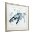 thumbnail image 3 of Stupell Industries Weathered Sea Turtle Birch Framed Print Under Glass design by Marcus Prime, 13 x 16, 3 of 10