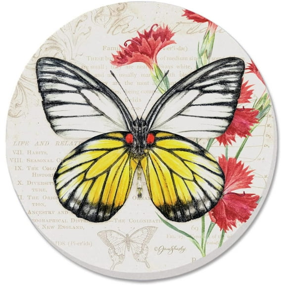 Absorbent Stone Beverage Coasters - Set of 4 - Sawtooth