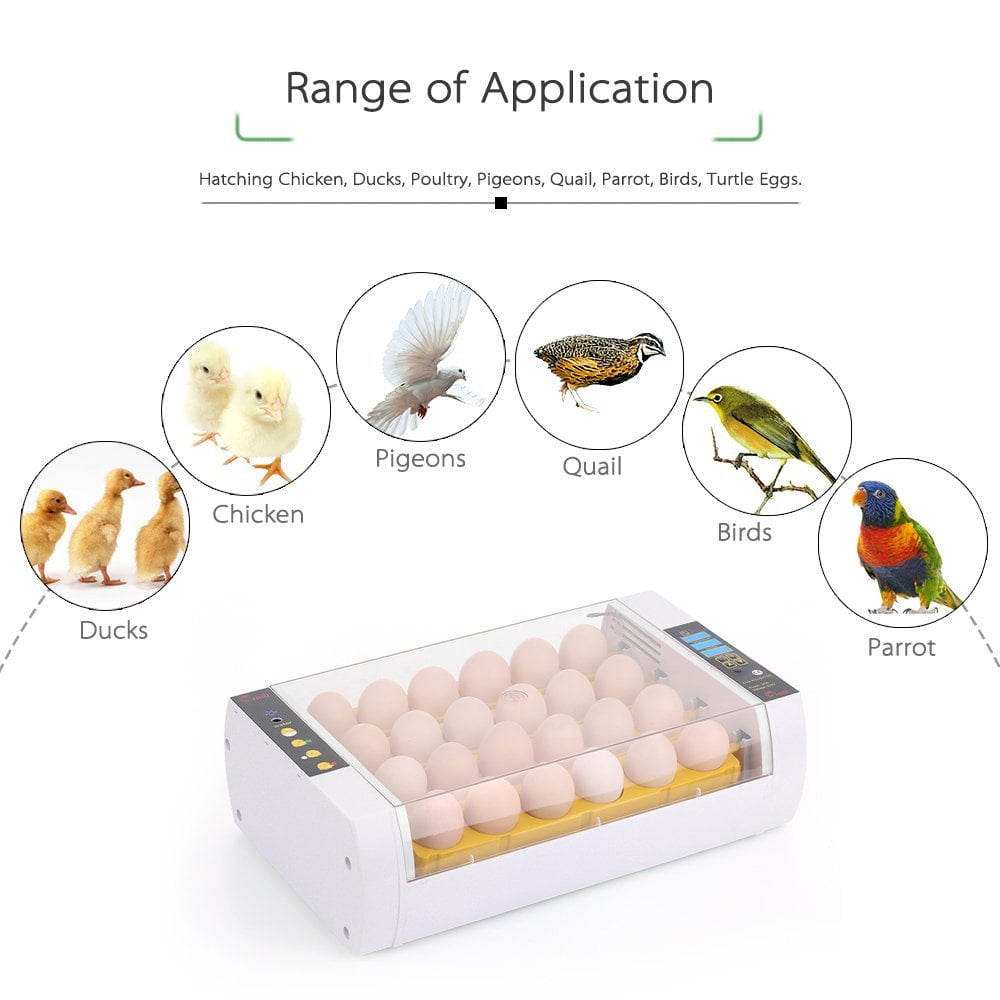 Auto Clear 24 Digital Chick Egg Incubator Hatcher Temperature+Humidity Control 