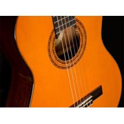 Washburn Classical Series C5 Acoustic Guitar, Rosewood Fretboard, Natural