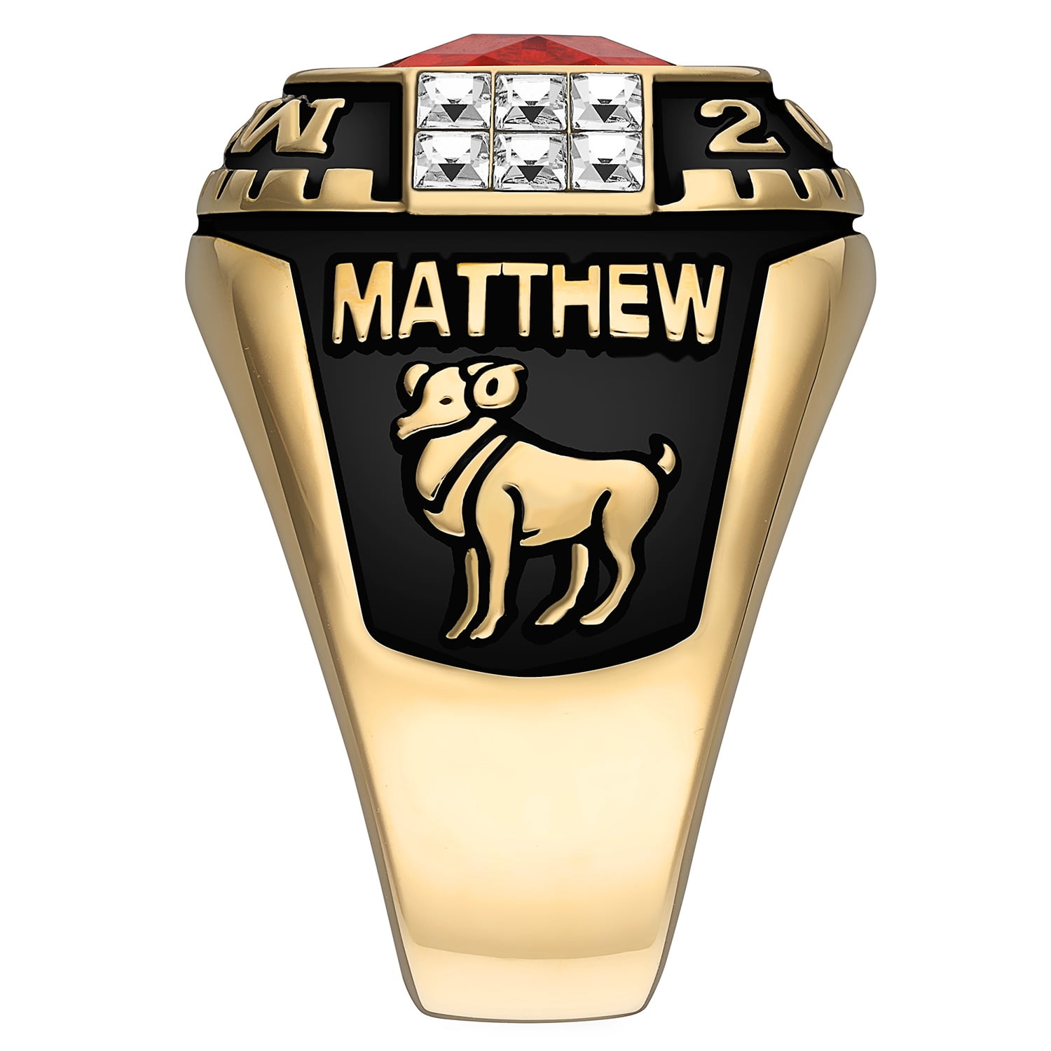 Order Now for 2025 Graduation, Freestyle Men's Rhodium Rose Cushion Birthstone & CZ Class Ring, Personalized, High School or College Graduation