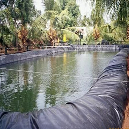 Durable Fish Pond Liner Gardens & Patio Pools PVC Membrane Reinforced Landscaping, Today Special (Best Pond Liner For Fish)