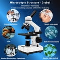 thumbnail image 7 of Compound Microscope Professional 40x-1000x with LED Light for Students and Adults, 7 of 7