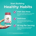 thumbnail image 6 of MaryRuth's Sea Moss Gummies, Vegan, Certified, 60 Count, 6 of 10