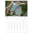 thumbnail image 5 of Budgies (Monthly Wall Calendar 2026 16.5 x 23.4 (open)), CALVENDO 14 Month Calendar, 5 of 9