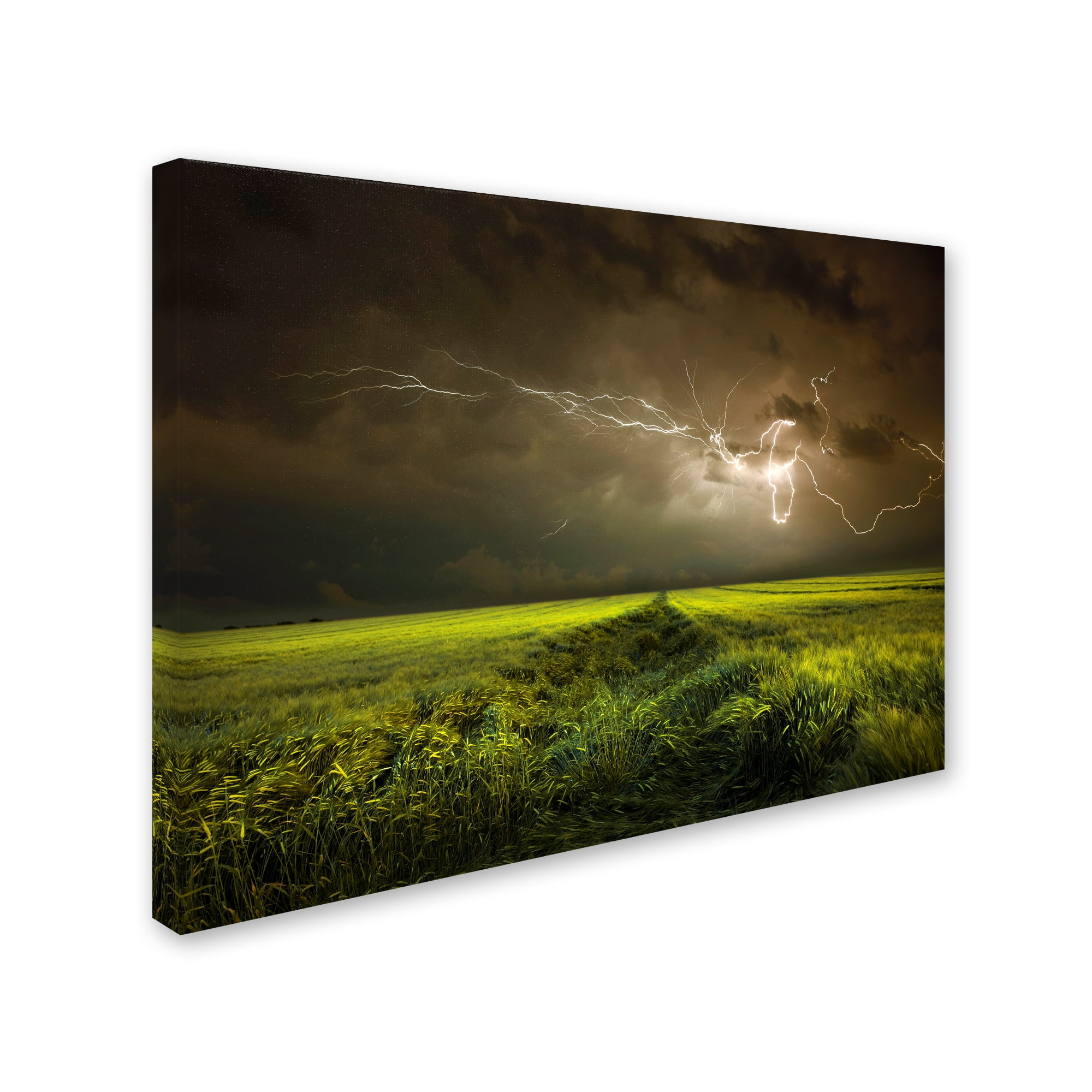 Trademark Fine Art 'Electrically In Summer' Canvas Art by Franz Schumacher