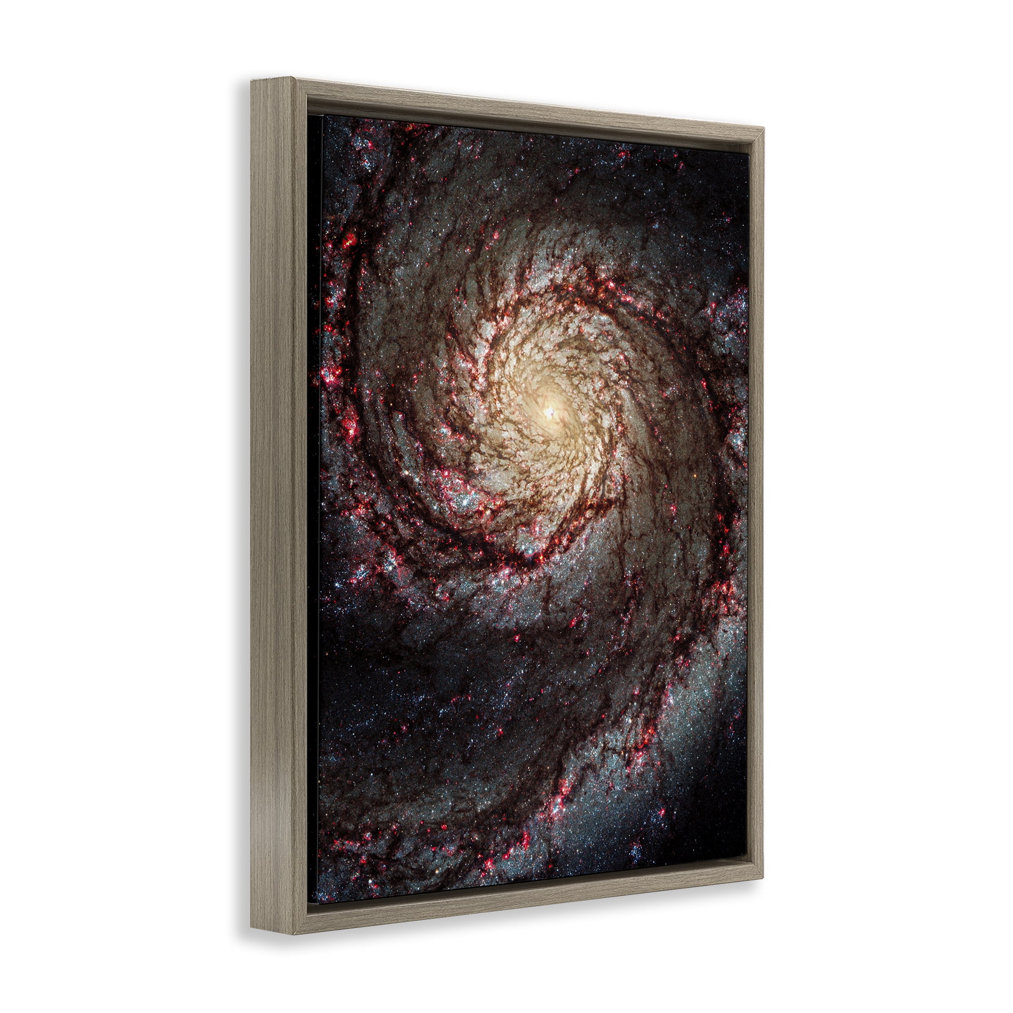 Stupell Industries Great Beyond Nebula Animals & Insects Photography Brown Floater Framed Art Print Wall Art, 25 x 31