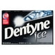Dentyne Ice Intense, Gomme Sans Sucre, 1 Paquet (12 Morceaux Par Paquet) Xbox – image 1 sur 11