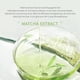 thumbnail image 1 of Mascarilla facial de arcilla Mascarilla facial de barro de arcilla antienvejecimiento Productos para el cuidado de la belleza (Matcha) Sywqhk Cuidado Belleza, 1 of 7