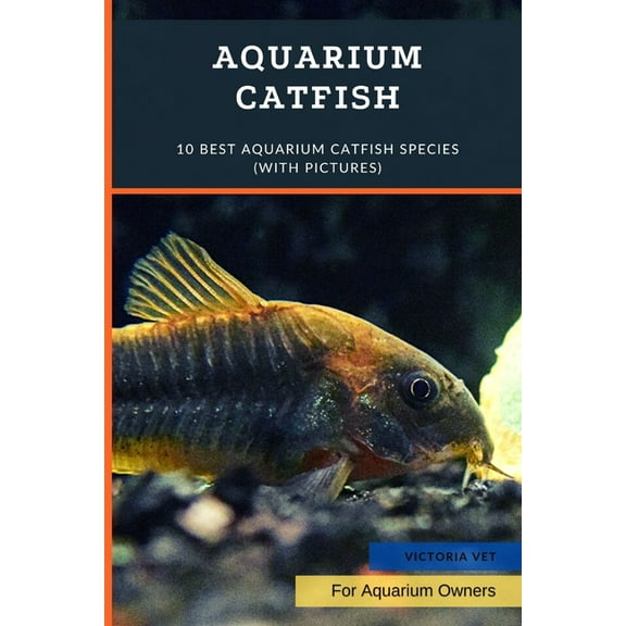 Aquarium Catfish: 10 Best Aquarium Catfish Species (With Pictures) (Paperback) by Victoria Vet