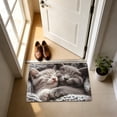 thumbnail image 6 of Hometravel Cat Themed Floor Mat, Non Slip Absorbent Rug for Bedroom Porch Hallway, Cute Pet Lover Home Decor, Easy Clean Door Mat, 40x60 cm Size, 6 of 6