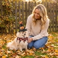 thumbnail image 3 of Halloween Pet Halloween Costume, Adjustable Pumpkin Spider Print 2 Piece Set, 1 Witch Hat 1 Bandana, for Small Dogs Cats Halloween Trick or Treat Party Holiday Decoration, 3 of 7