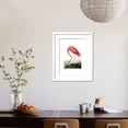 thumbnail image 4 of American Flamingo, 1834, Animals Framed Art Print Wall Art by John James Audubon Sold by Art.Com, 4 of 6