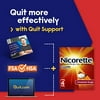 Nicorette 4mg Coated Nicotine Gum to Help Quit Smoking with Behavioral Support Program - Cinnamon Surge Flavored Stop Smoking Aid, 160 Count