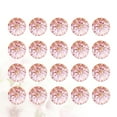 thumbnail image 4 of 50pcs Clear Crystal Button Adorable Shirt Button Simple Sweater Fasteners Delicate Sewing Buttons Coat Button Accessory for Man Woman Baby DIY (Pink), 4 of 8