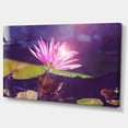 thumbnail image 2 of Fleur de Lotus Rose sur Fond Bleu - Impression Artistique Florale sur Toile, 2 of 3