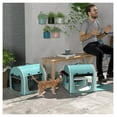 thumbnail image 2 of Portable Cat Carrier 39", Soft Sided Double Enclosure, Pet Travel Carrier with Divider, Cushions & Storage Bag - Green, 2 of 9