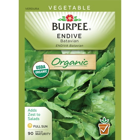 Burpee-Endive, Batavian Organic Seed Packet