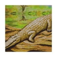 thumbnail image 4 of "Crocodile in the Swamp" - Canvas, 4 of 25