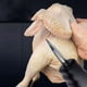 thumbnail image 4 of Fiudx Ofertas del día Desplumadora de pollos rápida Máquina de depilación de aves de corral de carga manual, 4 of 7