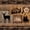 Natural Brown Black, variant on Castle Fairy Jungle Animal Beer 7-Piece Twin Bedding,Rustic Cabin Wildlife Bedding Comforter Set,Natural Brown Black,Black Reversible