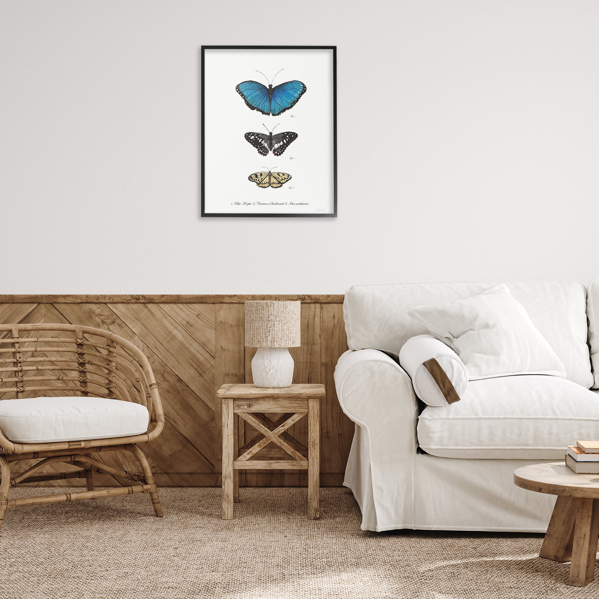 Stupell Industries Vintage Butterfly Specimens Animals & Insects Painting Black Framed Art Print Wall Art, 24 x 30