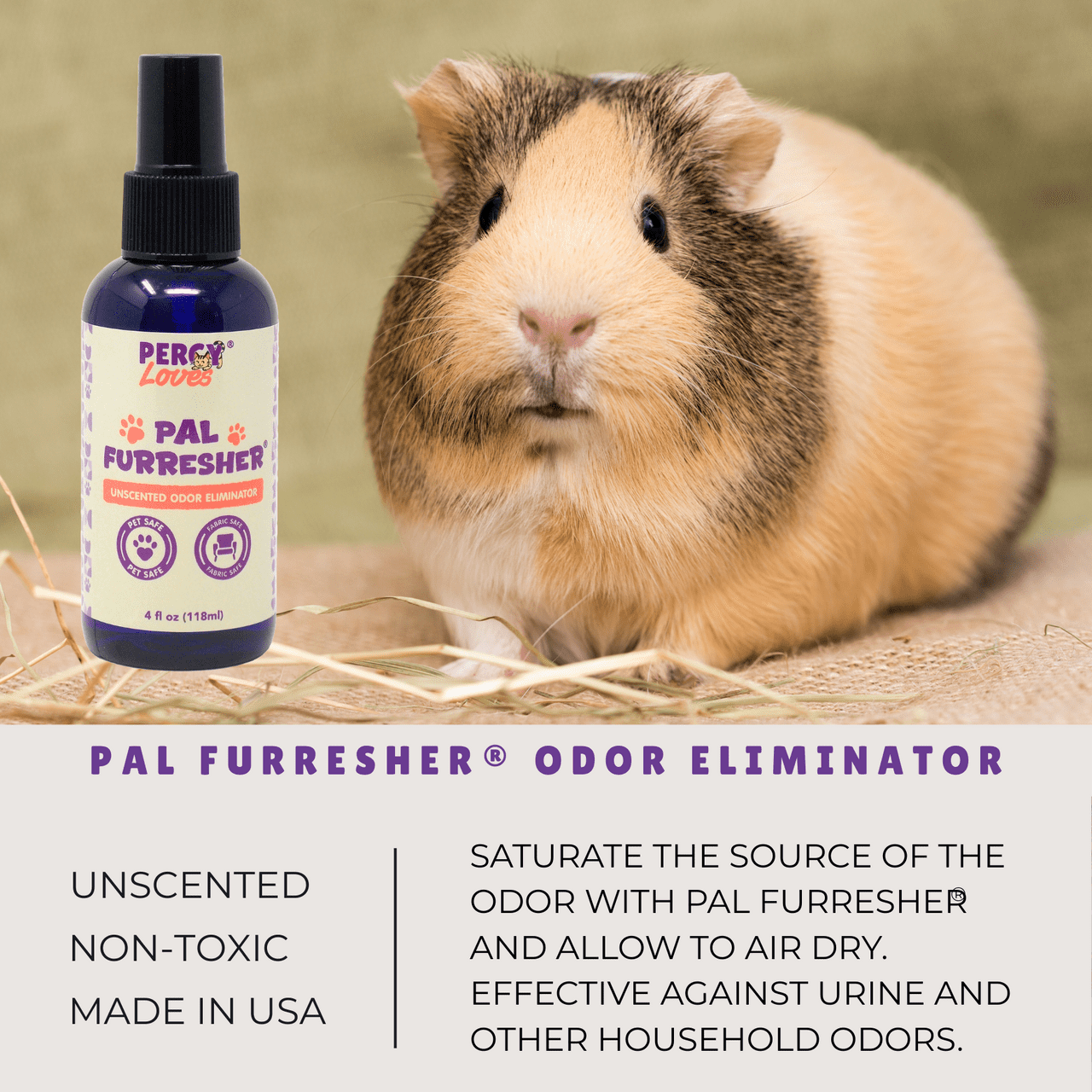Oxbow Adult Guinea Pig Food Garden Select(4 lbs) | PercyLoves Pet Furresher, Oxbow Simple Rewards, Chew Toy, Merlinsmart Zine