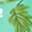 Light Green_#06, variant on Sewkxo Woman's Hawaiian Shirts Floral Printed Long Sleeves Lapel Collar Button Down Tropical Beach Shirts 2026 Fashion Baggy Fit Party Holiday Tees Shirts,Light Green 2XL